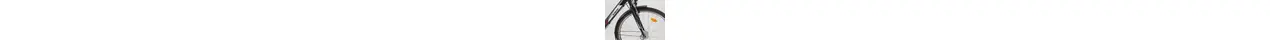Ragos Tour Lite 7 28" Herren Alu-City-/Trekkingrad 7-Gang Nexus Rücktrittbremsnabe 28 Zoll Herrenfahrrad 7 Gang Nabenschaltung mit Rücktritt schwarz Rahmenhöhe: 50 cm 300777-03.jpg