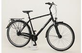 Pegasus Solero SL 8 28 Zoll Trekkingrad 8-Gang Rücktrittbremsnabe schwarz Rahmenhöhe: 55 cm