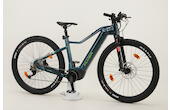 Flyer Uproc2 2.10 29 Zoll E-MTB 10-Gang Kettenschaltung 750Wh 20.1Ah Akku grün Flyer Rahmenhöhe: L