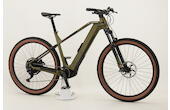 Bulls Sonic EVO 1 29 Zoll Fully-E-MTB 10-Gang Kettenschaltung 750Wh Akku grün Bosch Rahmenhöhe: L (48 cm)