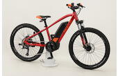 Bulls Twenty4 E 24" Offroad E-MTB 8-Gang Altus 500 Wh 13.4 Ah jugendfahrrad Kettenschaltung rot Bosch Rahmenhöhe: S (32 cm)