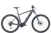 Bulls Copperhead EVO 1 XXL 29" Offroad E-MTB 9-Gang Alivio 750Wh Smart System erwachsenenfahrrad Kettenschaltung grau Bosch Rahmenhöhe: L (48 cm)