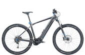 Bulls Copperhead EVO 1 XXL 29" Offroad E-MTB 9-Gang Alivio 750Wh Smart System erwachsenenfahrrad Kettenschaltung grau Bosch Rahmenhöhe: XXL (60 cm)