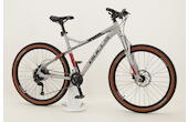 Bulls Zarena 2 27,5 Zoll MTB 18-Gang Kettenschaltung grau Rahmenhöhe: 41 cm