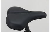 815976-06.jpg