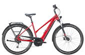 Bulls Allground EVO 29" Street E-MTB 9-Gang Kettenschaltung 625Wh Smart System rot Bosch Rahmenhöhe: L (55 cm)