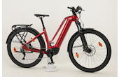 Flyer Goroc2 2.10 29 Zoll SUV-E-Bike 10-Gang Kettenschaltung 750Wh 20.1Ah Akku rot Flyer Rahmenhöhe: L