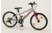 Puky LS-Pro 20-7 20 Zoll Kinderrad 7-Gang Kettenschaltung silber Rahmenhöhe: 28 cm