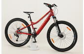 S COOL e-troX Race 26 9S 26 Zoll Jungend E-MTB 9-Gang Kettenschaltung 252Wh 7Ah Akku rot Rahmenhöhe: 36 cm