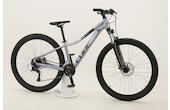 Cube Access WS EAZ 27,5 Zoll MTB 16-Gang Kettenschaltung lila Rahmenhöhe: S (37cm)