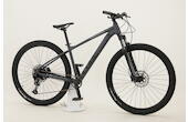 Cube Acid 29 Zoll MTB Offroad 12-Gang Kettenschaltung grau Rahmenhöhe: 24" / XXL
