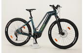 Flyer Uproc 2 2.10 29 Zoll E-Hardtail-MTB / E-Bike 10-Gang Kettenschaltung 750Wh 20.1 Ah grün Flyer Panasonic Rahmenhöhe: L