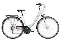 Pegasus Avanti 18 28" Trekkingbike 18-Gang Shimano Kettenschaltung 28 Zoll 18 Gang Kettenschaltung weiß Rahmenhöhe: 50 cm
