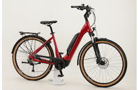 Flyer Upstreet 5 3.12 29 Zoll E-Bike 9-Gang Kettenschaltung 630Wh 16.75Ah Akku rot Flyer Rahmenhöhe: 55 cm