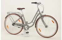 Pegasus Bici Italia 7 28 Zoll Cityrad 7-Gang Rücktrittbremsnabe grau Rahmenhöhe: S