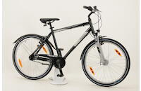 Pegasus Avanti Sport 7 26 Zoll Trekkingrad 7-Gang Rücktrittbremsnabe schwarz Rahmenhöhe: 50 cm
