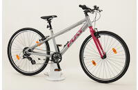 Puky LS-Pro 26-8 26 Zoll Jugendrad Dirtbike 8-Kettenschaltung silber berry Rahmenhöhe: 38 cm