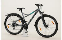 Bulls Sharptail Street 3 MTB-Street Hardtail 29 Zoll 24 Gang Kettenschaltung silber Rahmenhöhe: 46 cm