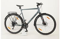 Bergamont Sweep 4 EQ 28" Commuter-Urbanbike 16-Gang Claris Kettenschaltung 28 Zoll 16 Gang Kettenschaltung grau Rahmenhöhe: 48 cm