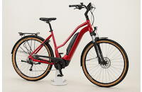 Flyer Upstreet 5 3.12 29 Zoll E-Bike 9-Gang Kettenschaltung 630Wh 16.75Ah Akku rot Flyer Rahmenhöhe: 55 cm