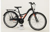 Pegasus Arcona 24-3 24 Zoll 3-Gang Rücktrittbremsnabe schwarz Rahmenhöhe: 36 cm