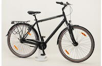Pegasus Piazza 8 28 Zoll Trekkingrad 8-Gang Nabenschaltung schwarz Rahmenhöhe: 55 cm