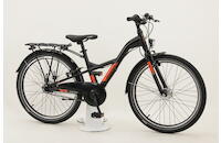 Pegasus Arcona 24-7 24 Zoll ATB 7-Gang Rücktrittbremsnabe grau Rahmenhöhe: 36 cm