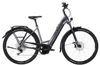 Bulls Cross Lite Evo 1 29 Zoll E-Bike 11-Gang Kettenschaltung 750Wh 20,1Ah Akku chrom Bosch Rahmenhöhe: 55 cm