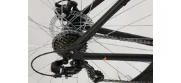 Bulls Wildtail 1 29" Mountainbike 21-Gang Shimano Kettenschaltung 29 Zoll erwachsenenfahrrad Kettenschaltung schwarz Rahmenhöhe: 56 cm