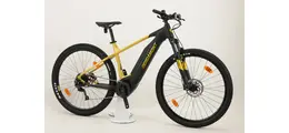 Bergamont E-Revox 4  29" MTB-E-Bike 9-Gang Shimano Kettenschaltung, 85Nw, 65Nm 500Wh Ah Herrenfahrrad 9 Gang Kettenschaltung gold Bosch Rahmenhöhe: 42 cm