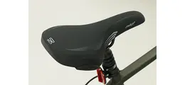 Bergamont Horizon N8 FH Gent 28" Alu-Trekkingrad 8-Gang Freilaufnabe 28 Zoll Herrenfahrrad 8 Gang Nabenschaltung mit Freilauf grün Rahmenhöhe: 56 cm