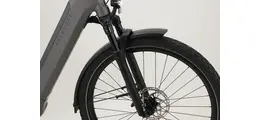 Kalkhoff Endeavour 5.B Move + Trekking E-Bike 9-Gang Shimano Kettenschaltung 625Wh Smart 16,7 Ah unisex 9 Gang Kettenschaltung grau Bosch Rahmenhöhe: S (43 cm)