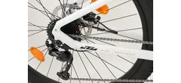 KTM Macina Race 292 29" E-Bike MTB Hardtail 9-Gang Shimano Alivio 500Wh, 85Nm 13.4 Ah unisex Kettenschaltung weiß Bosch Rahmenhöhe: 48 cm