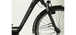 Hercules E-Imperial 180 S R8 28" Pedelec 8-Gang RB-Nabe 500Wh 180kg 13.4 Ah Damenfahrrad Nabenschaltung schwarz Bosch Rahmenhöhe: 46 cm