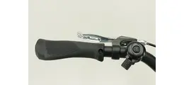 Bergamont Horizon N8 FH Gent 28" Alu-Trekkingrad 8-Gang Freilaufnabe 28 Zoll Herrenfahrrad 8 Gang Nabenschaltung mit Freilauf grün Rahmenhöhe: 56 cm