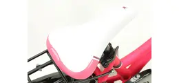 Pegasus Avanti Kid 3 20" Kinder ATB 3-Gang Nabenschaltung 20 Zoll Mädchenfahrrad 3 Gang Nabenschaltung mit Rücktritt pink Rahmenhöhe: 28 cm