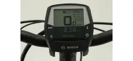 Pegasus Solero E8 Plus 28" Pedelec 8-Gang Kette Actiive Line Plus400 11 Ah Damenfahrrad 8 Gang Kettenschaltung schwarz Bosch Rahmenhöhe: 45 cm