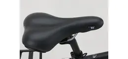 Hercules Valencia R7 28" Citybike mit 7-Gang Shimano Rücktrittbremsnabe 28 Zoll unisex 7 Gang Nabenschaltung mit Rücktritt schwarz Rahmenhöhe: 51 cm