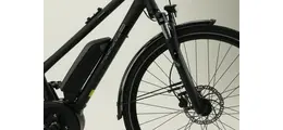 Pegasus Solero E8 Plus 28" Pedelec 8-Gang Kette Actiive Line Plus400 11 Ah Damenfahrrad 8 Gang Kettenschaltung schwarz Bosch Rahmenhöhe: 45 cm