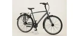 Gazelle Chamanix S8 Urban-/Trekkingbike 28" 8-Gang Freilaufnabe, Gates Riemen 28 Zoll unisex Nabenschaltung grau Rahmenhöhe: 57 cm