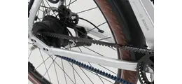 Corratec E-Power C29 SE 3.0 CX7 Belt Trapez City-/Trekking E-Bike Enviolo 750Wh Smart 20,1 Ah Herrenfahrrad stufenlose Enviolo silber Bosch Rahmenhöhe: 50 cm