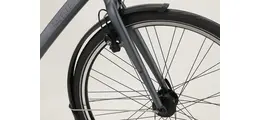 Gazelle Chamanix S8 Urban-/Trekkingbike 28" 8-Gang Freilaufnabe, Gates Riemen 28 Zoll unisex Nabenschaltung grau Rahmenhöhe: 57 cm