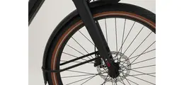 Bulls SturmvogelEvo5FBelt 28" City E-Bike 5-Gang Shimano Nabenschaltung 750Wh Brose erwachsenenfahrrad Nabenschaltung schwarz FIT Rahmenhöhe: 41 cm