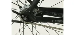 Hercules E-Imperial 180 S R8 28" Pedelec 8-Gang RB-Nabe 500Wh 180kg 13.4 Ah Damenfahrrad Nabenschaltung schwarz Bosch Rahmenhöhe: 46 cm
