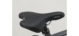 Gazelle Chamanix S8 Urban-/Trekkingbike 28" 8-Gang Freilaufnabe, Gates Riemen 28 Zoll unisex Nabenschaltung grau Rahmenhöhe: 57 cm