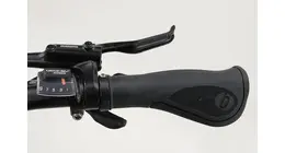 Benno RemiDemi 9D Performance 20 Urban Pedelec 9-Gang Shimano Kette 500Wh 180kg 13,4 Ah erwachsenenfahrrad 9 Gang Kettenschaltung grau Rahmenhöhe: Unifit