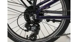Bergamont Revox ATB 20 Girl 20" Kinder-/ Mädchen  ATB 7-Gang Shimano Kettenschaltung 20 Zoll kinderfahrrad;jungenfahrrad 7 Gang Kettenschaltung lila Rahmenhöhe: 28 cm