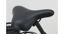 Degreaser Advanced Plus 3 CB City-E-Bike mit 3-Gang Rücktrittbremsnabe, Federgabel 10,4 Ah unisex 3 Gang Nabenschaltung mit Rücktritt schwarz Rahmenhöhe: 50 cm