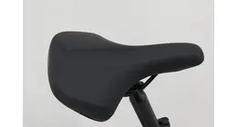 Kalkhoff Entice C.B. Excite+ 20" Kompakt E-Bike 9-Gang Kettenschaltung 75Nm 545Wh Smart 14,4 Ah erwachsenenfahrrad 9 Gang Kettenschaltung grau Bosch Rahmenhöhe: XS (48 cm)