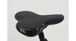 Kalkhoff Image 1.B Move Comfort City E-Bike 8-Gang Rücktrittbremse 500Wh 40Nm 13.4 Ah erwachsenenfahrrad 8 Gang Nabenschaltung mit Rücktritt grau Bosch Rahmenhöhe: 40 cm